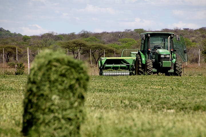 Agriculture